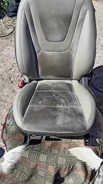 @SpaDivan.md