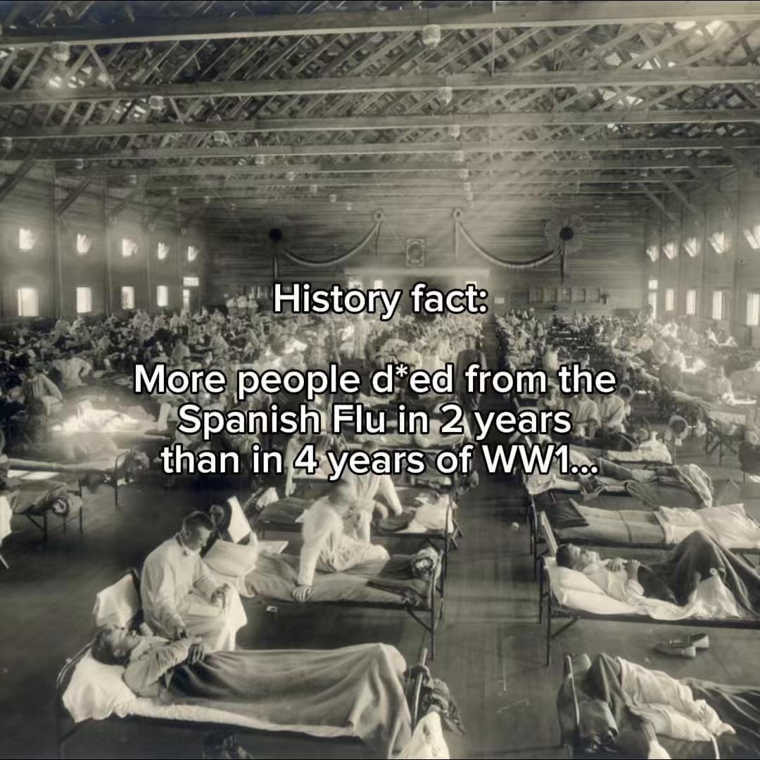 @History Soldier🪖