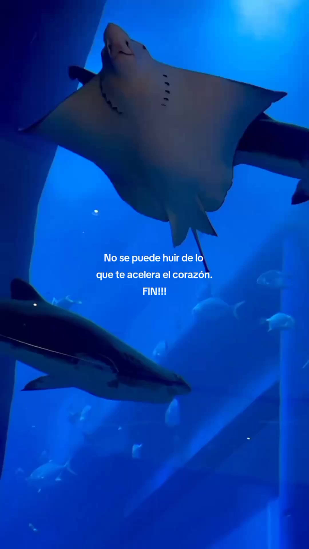 @Mariana