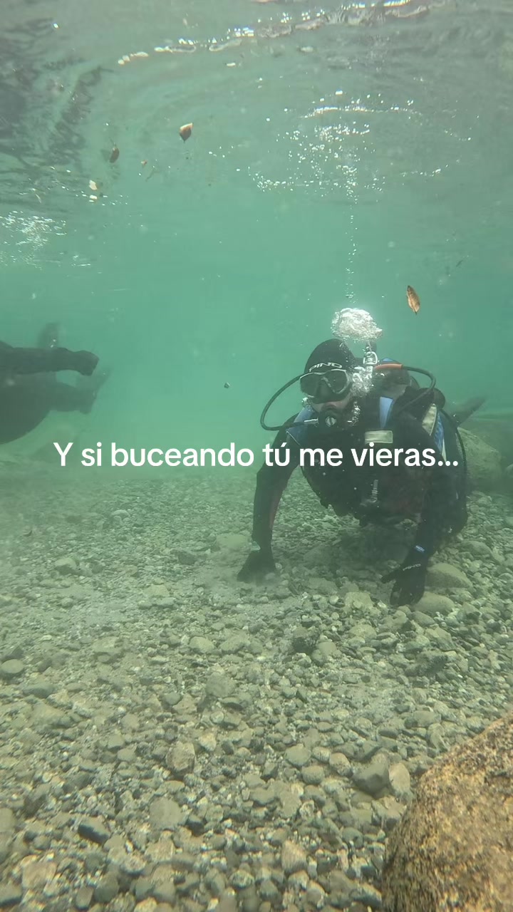 @bianqui