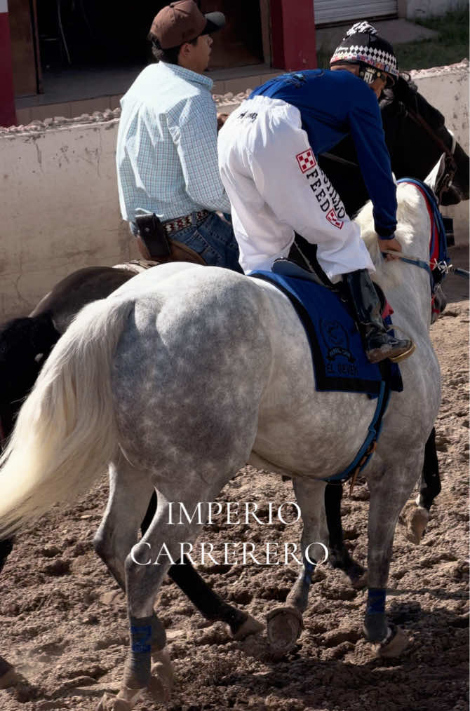 @Imperio carrerero