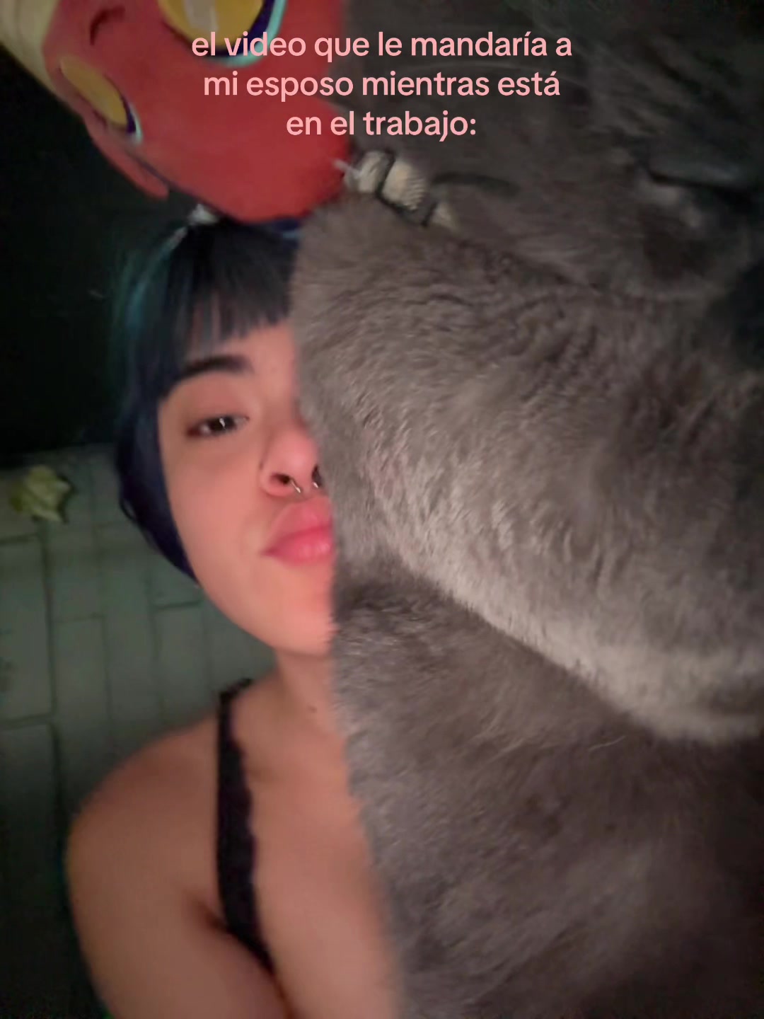 @María Coval