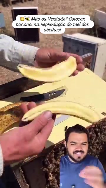 @Obrasilense
