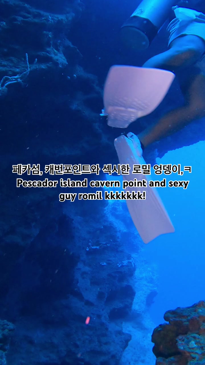 @liondiveresort