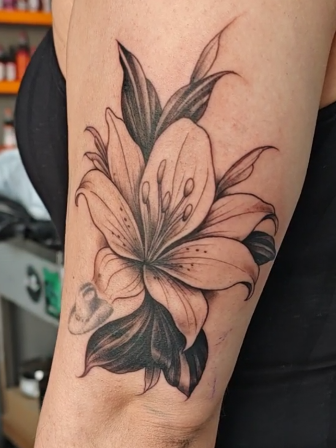 @Julio Arg&uuml;elles Tatuador