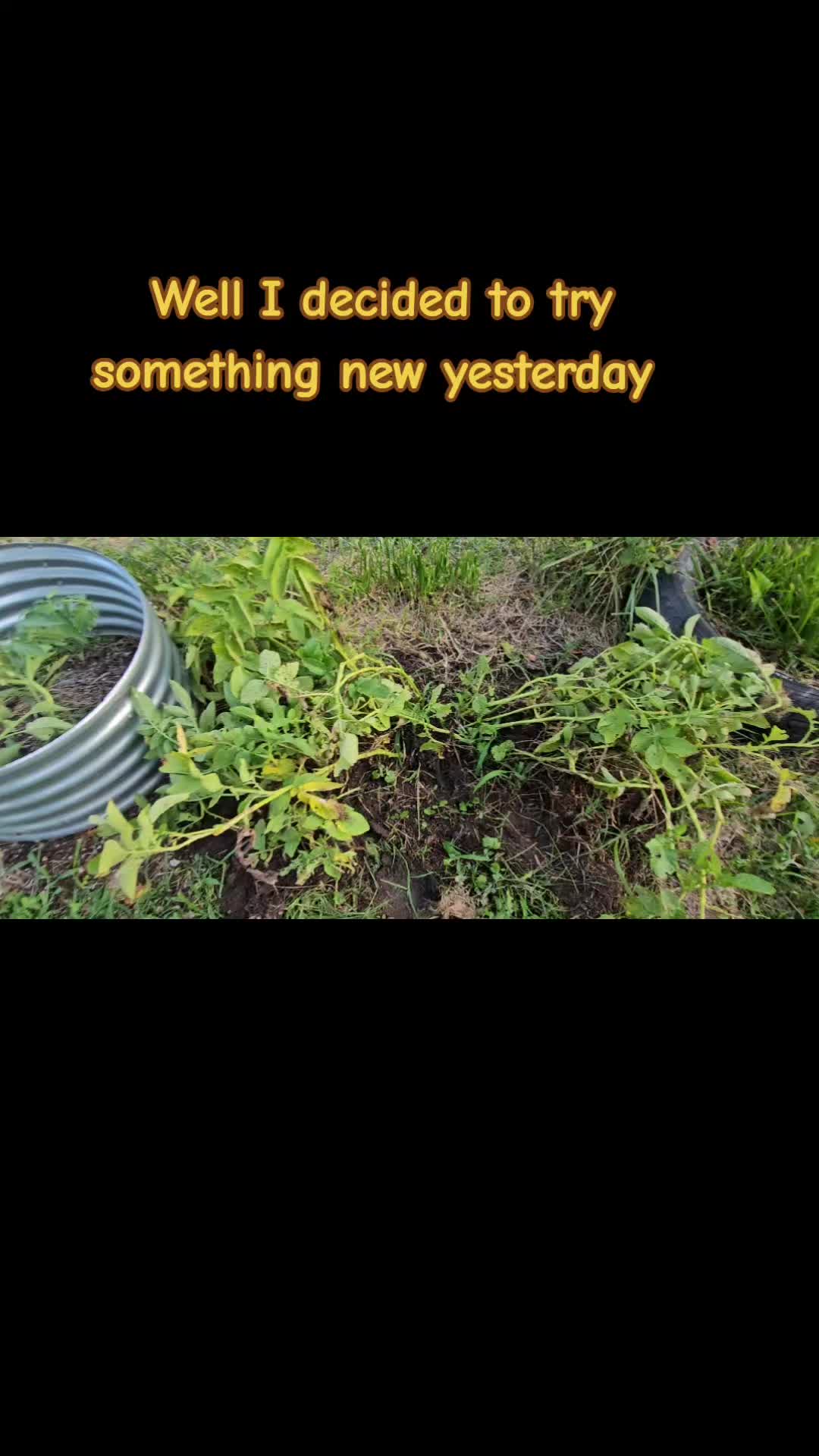 @AppalachianMntCrone