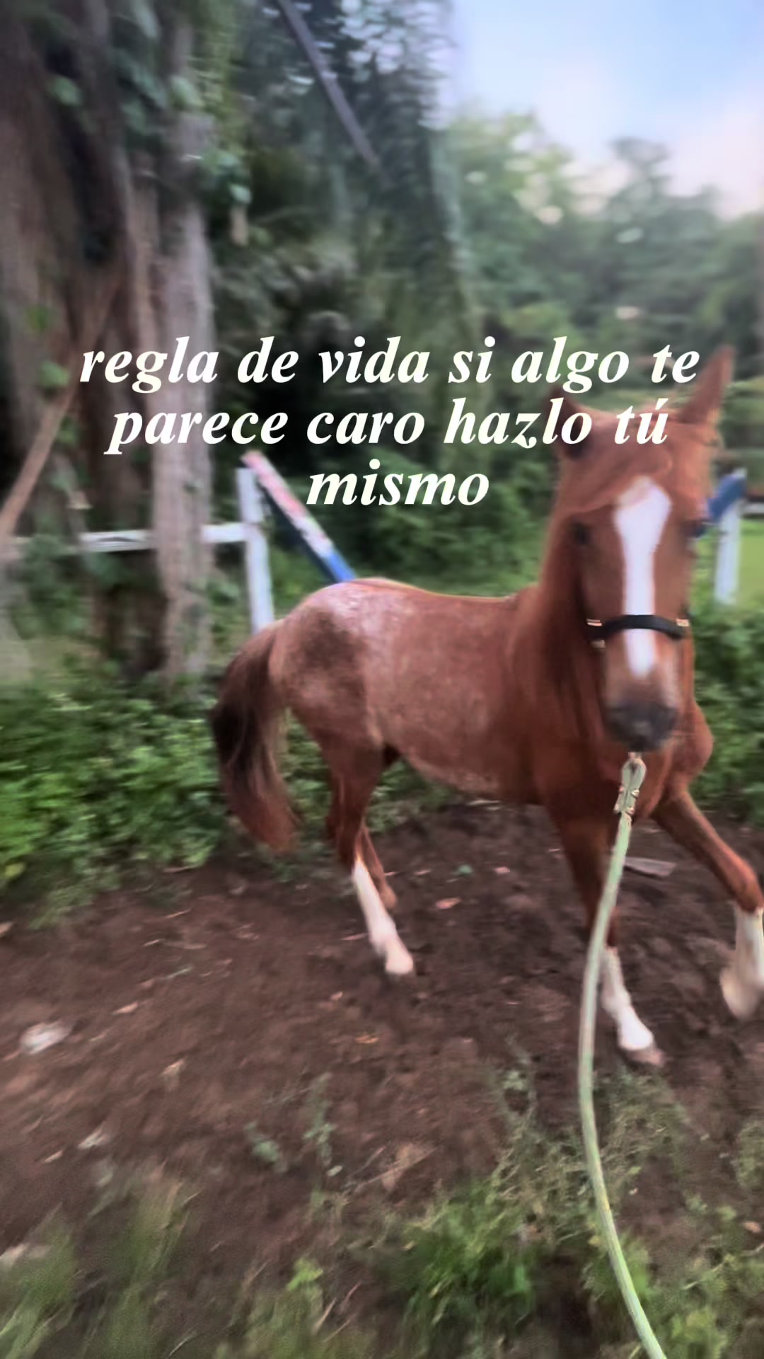@Yany🇵🇷