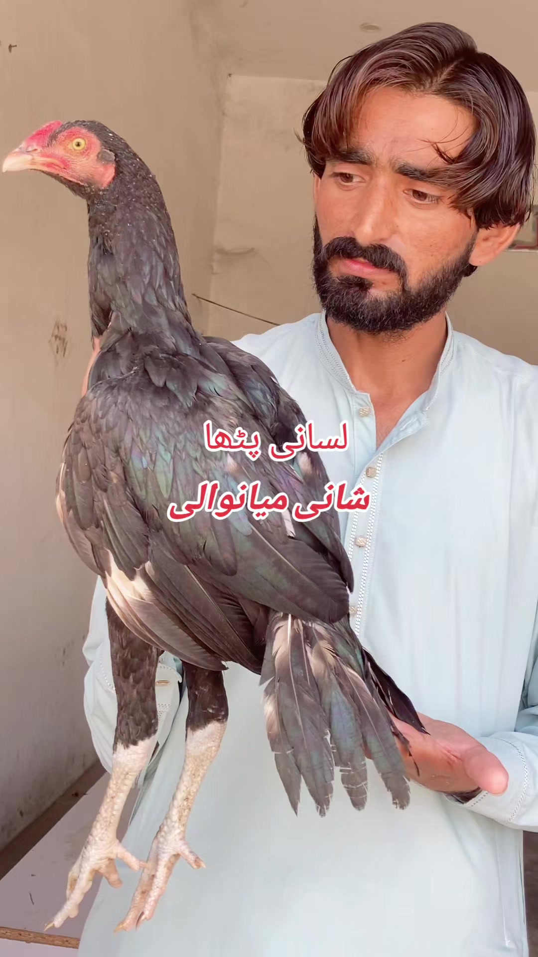 @Shani.Mianwali