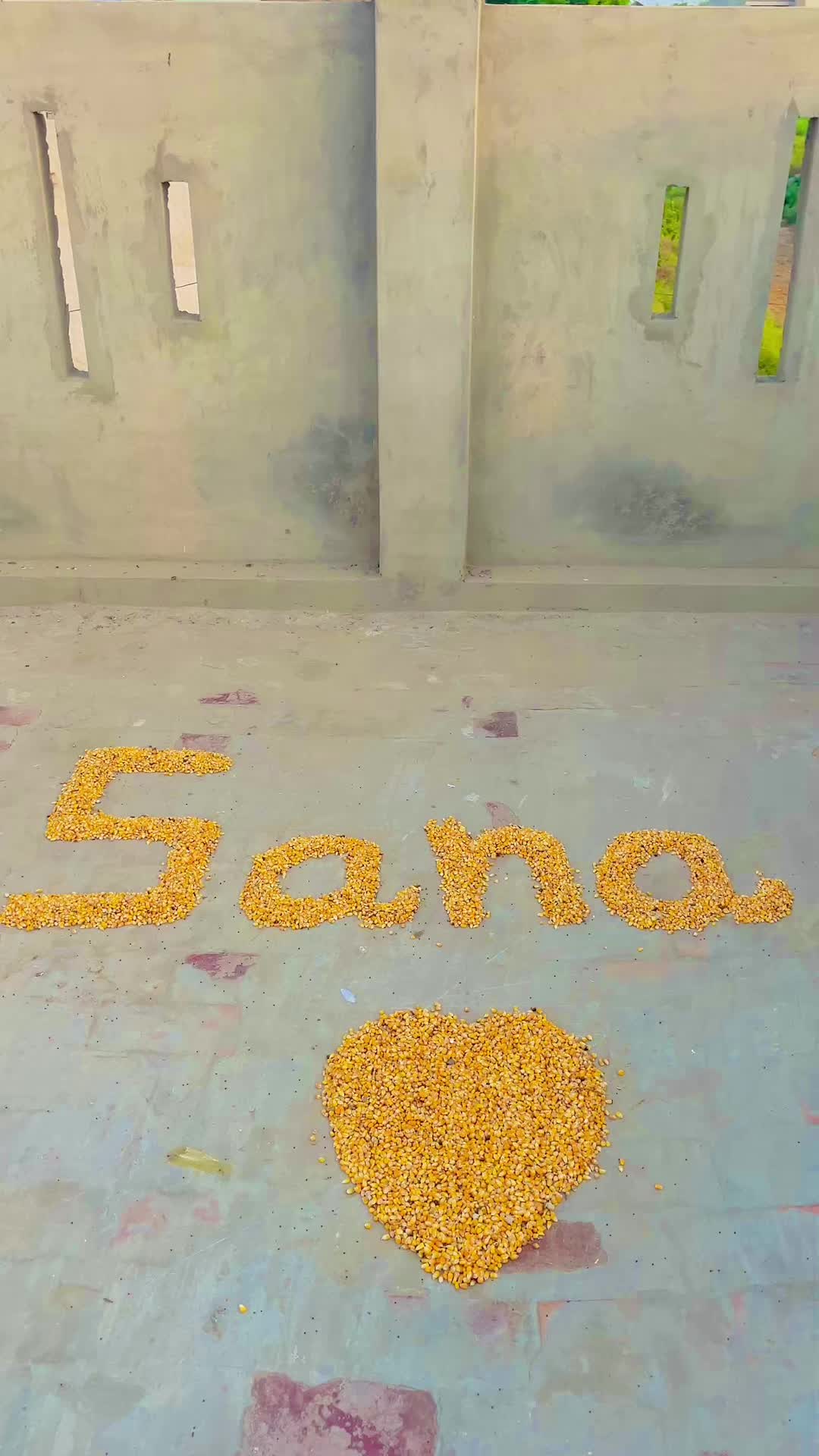 @Shahroz
