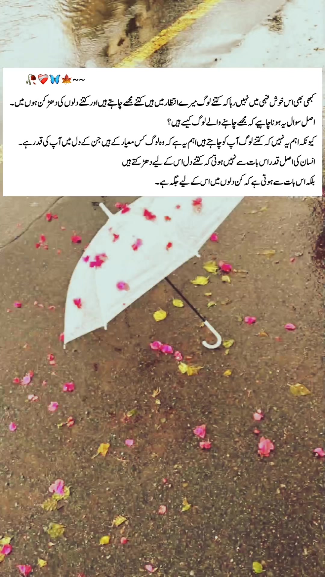 @🦋اندازِبیاں🥀