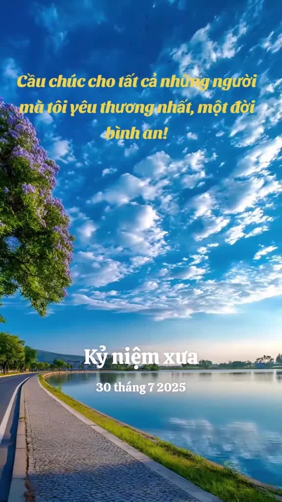 @nguyễn dung