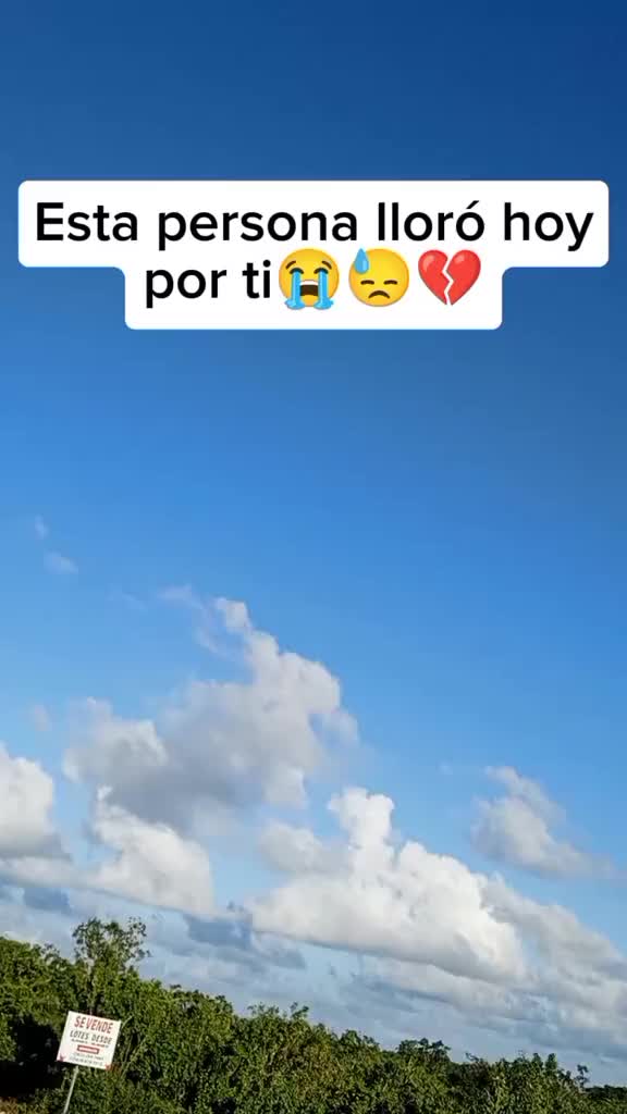 @De 21 división