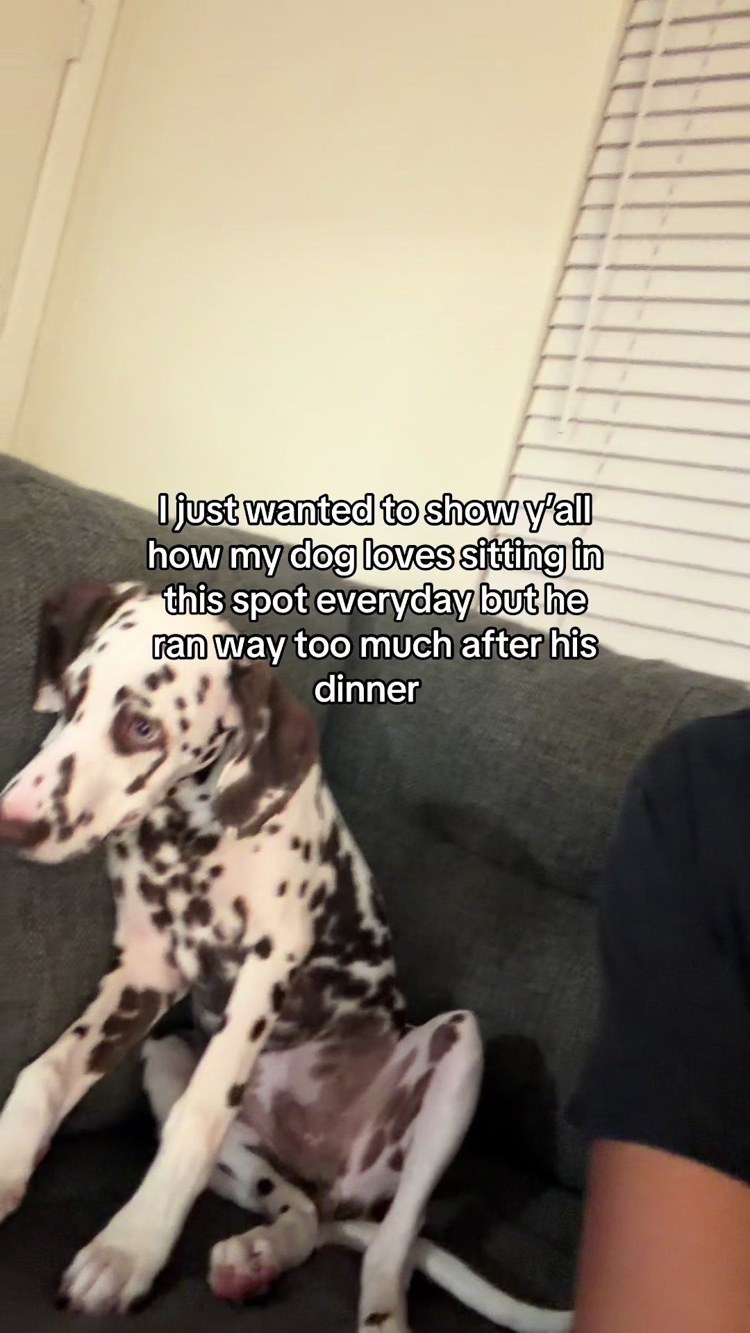 @Corinne Olivia