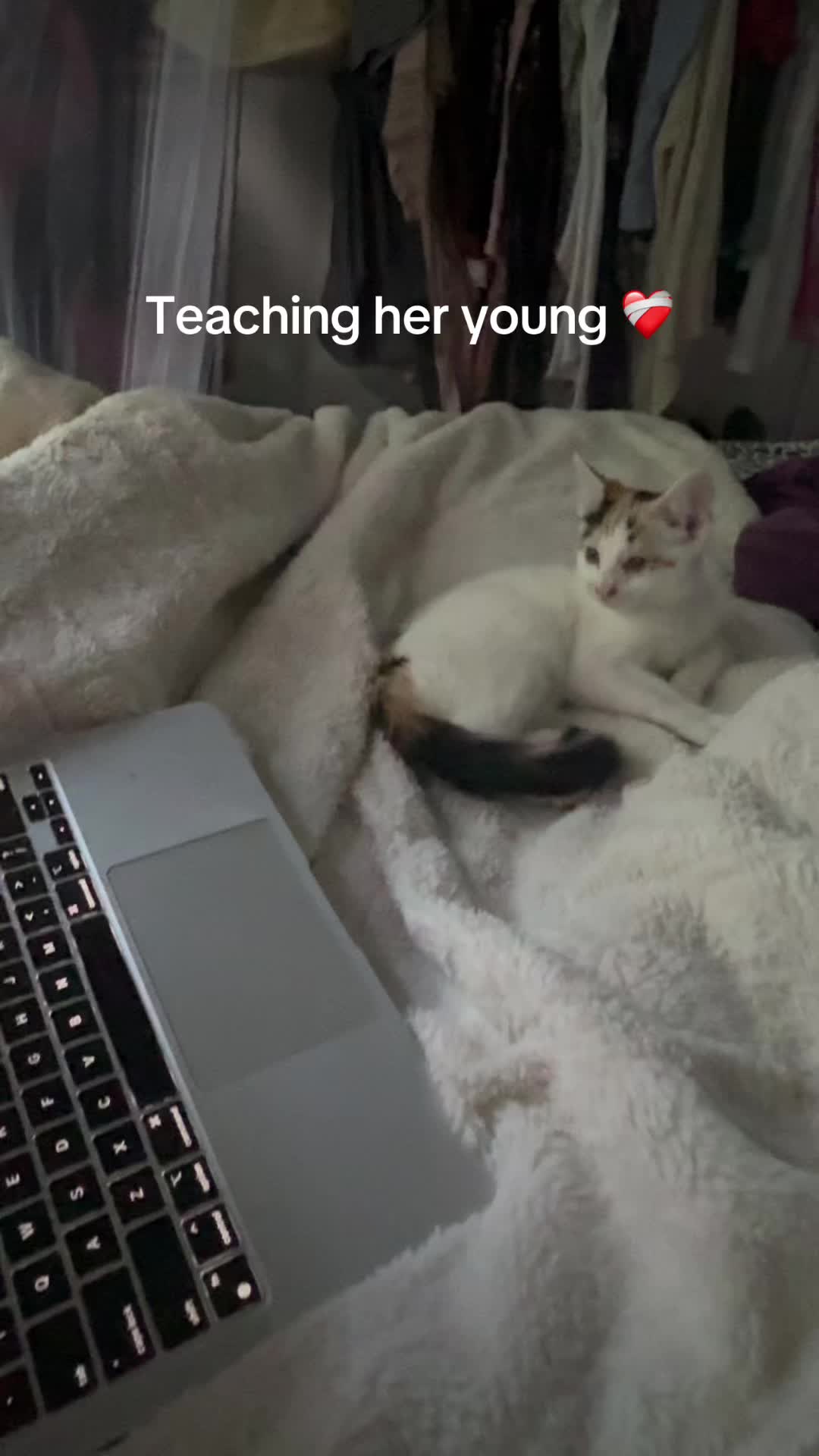 @emma🫧