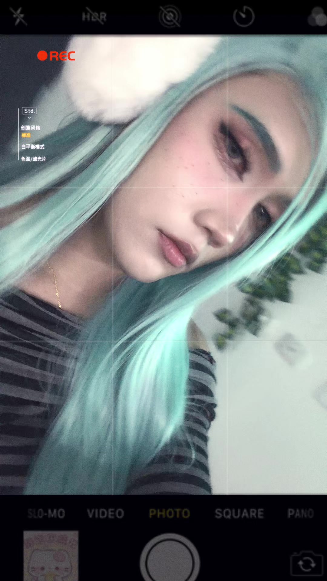 @️andysito🍄