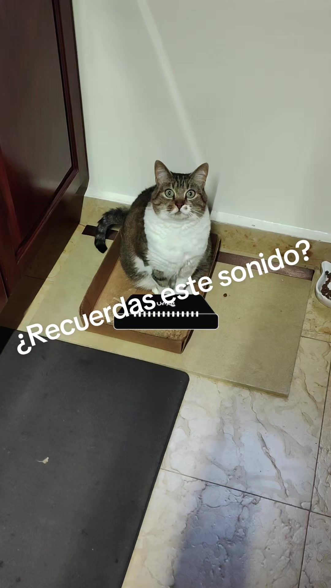 @Violeta Porras - Vio