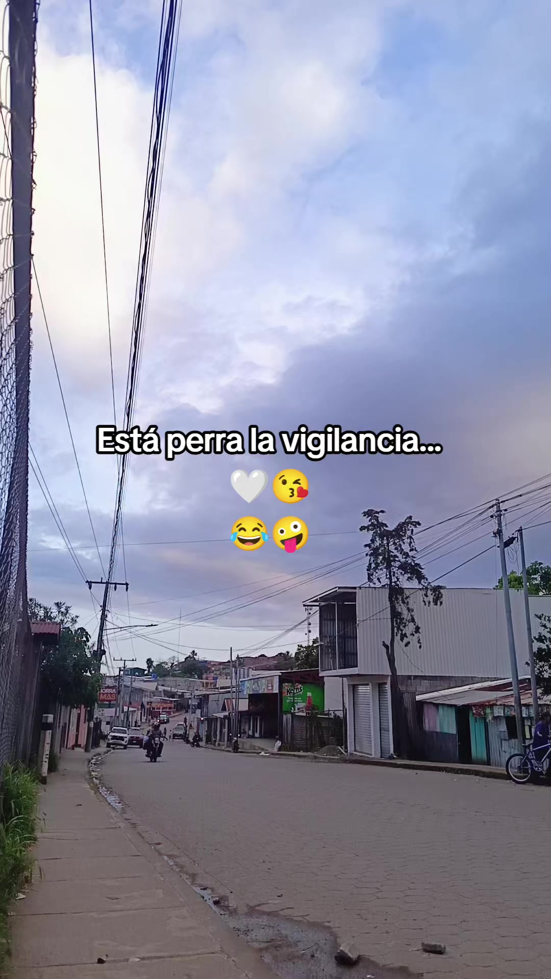 @OLI 🌻🤍😘