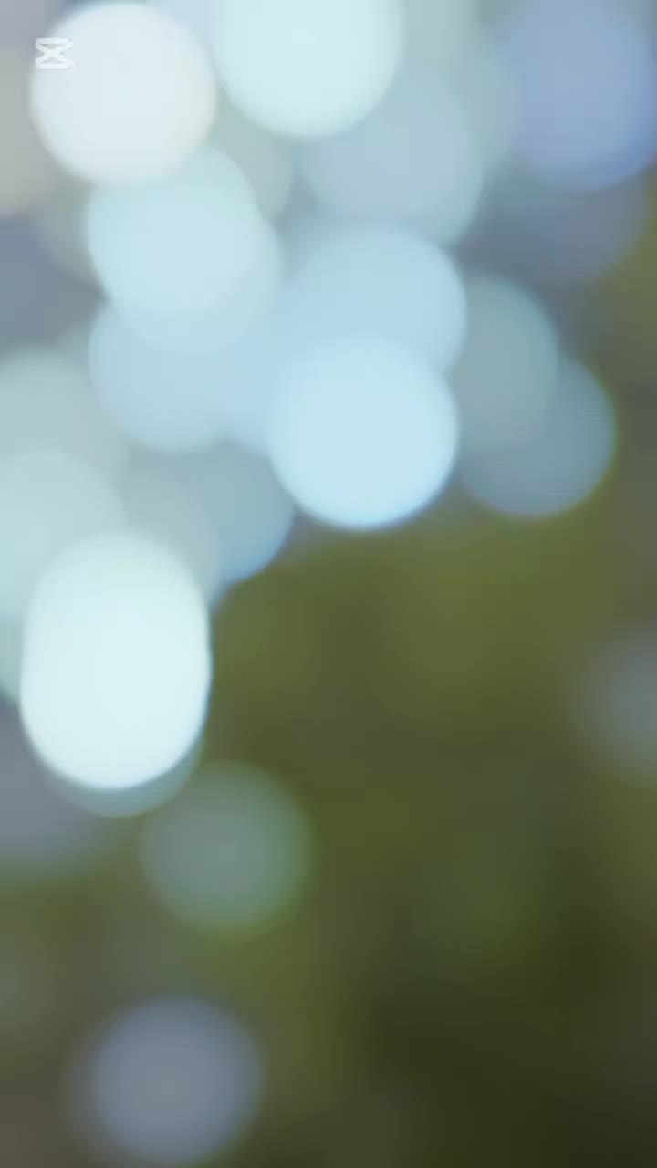 @میاں مجتبیٰ