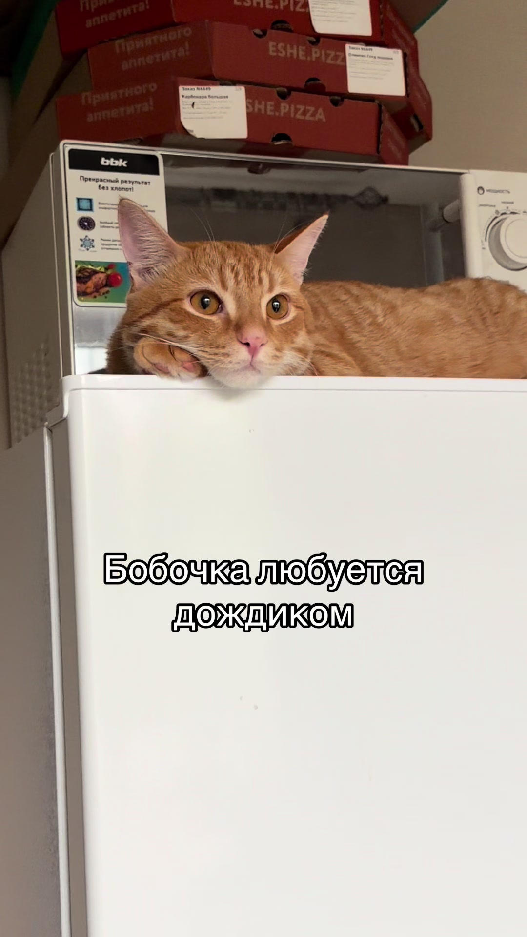 @кастрюля