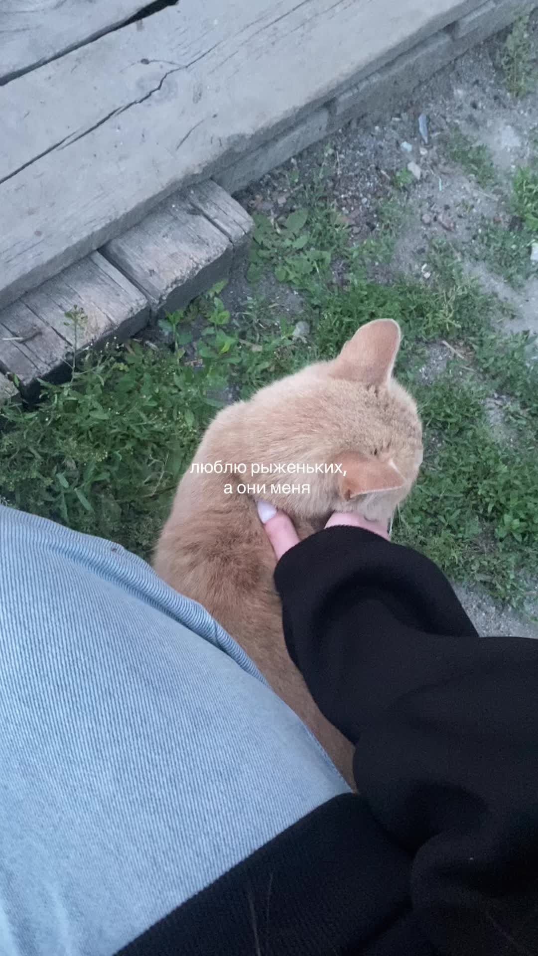 @ватафак