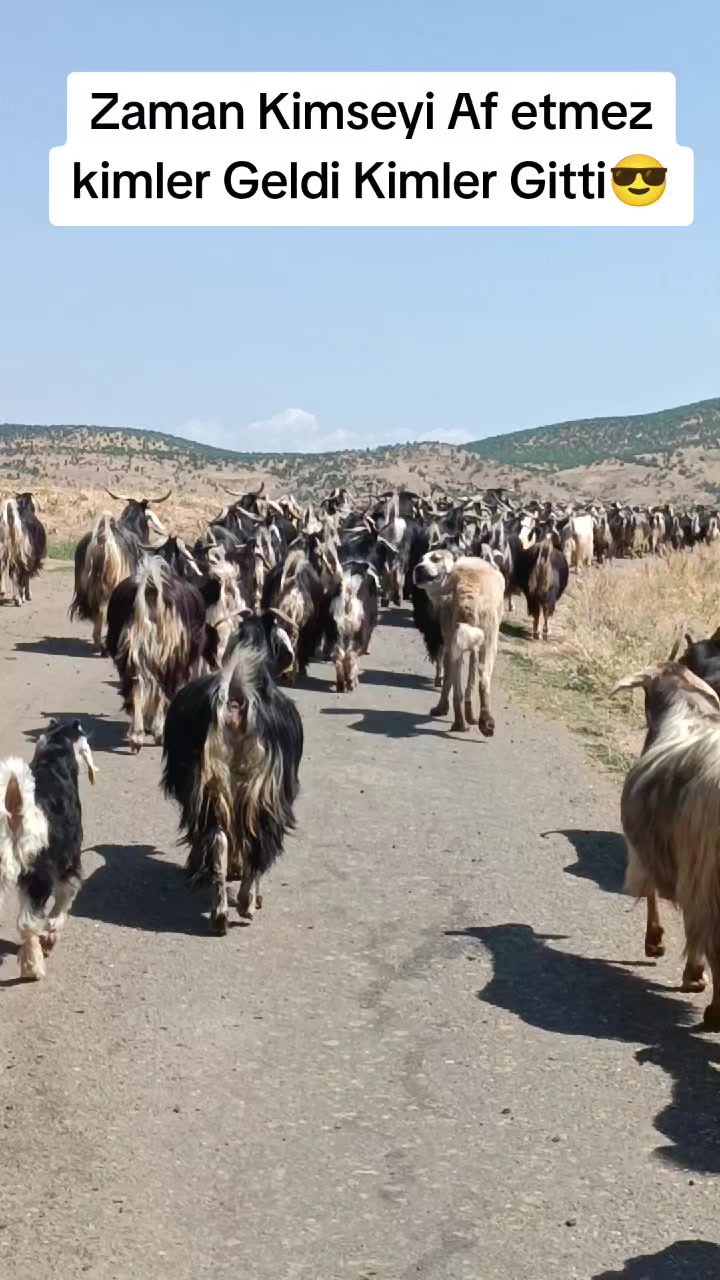 @ko&ccedil;er.12