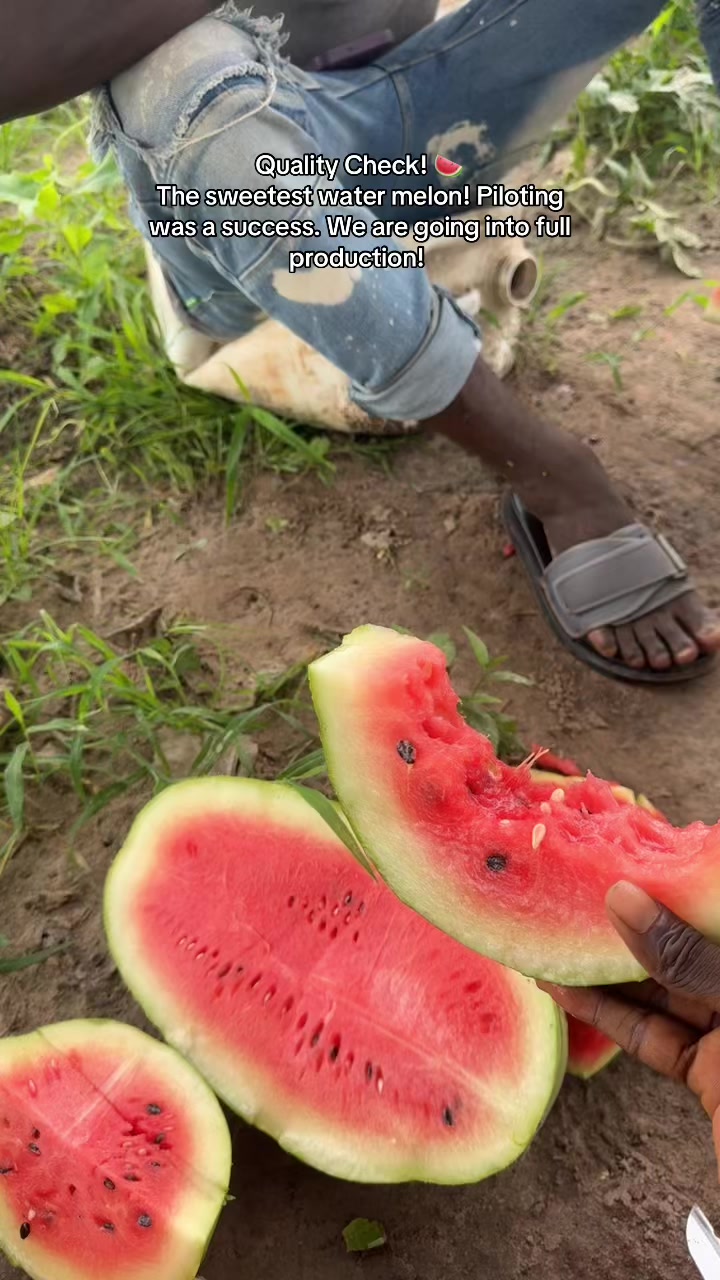 @Janda Farms 🇬🇲
