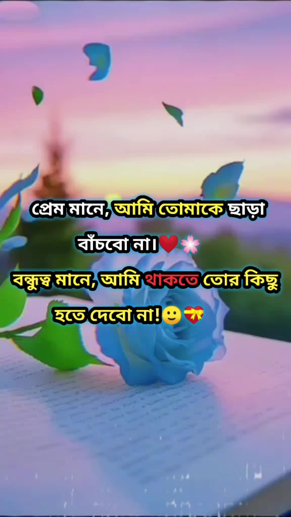 @☠️eshein☠️