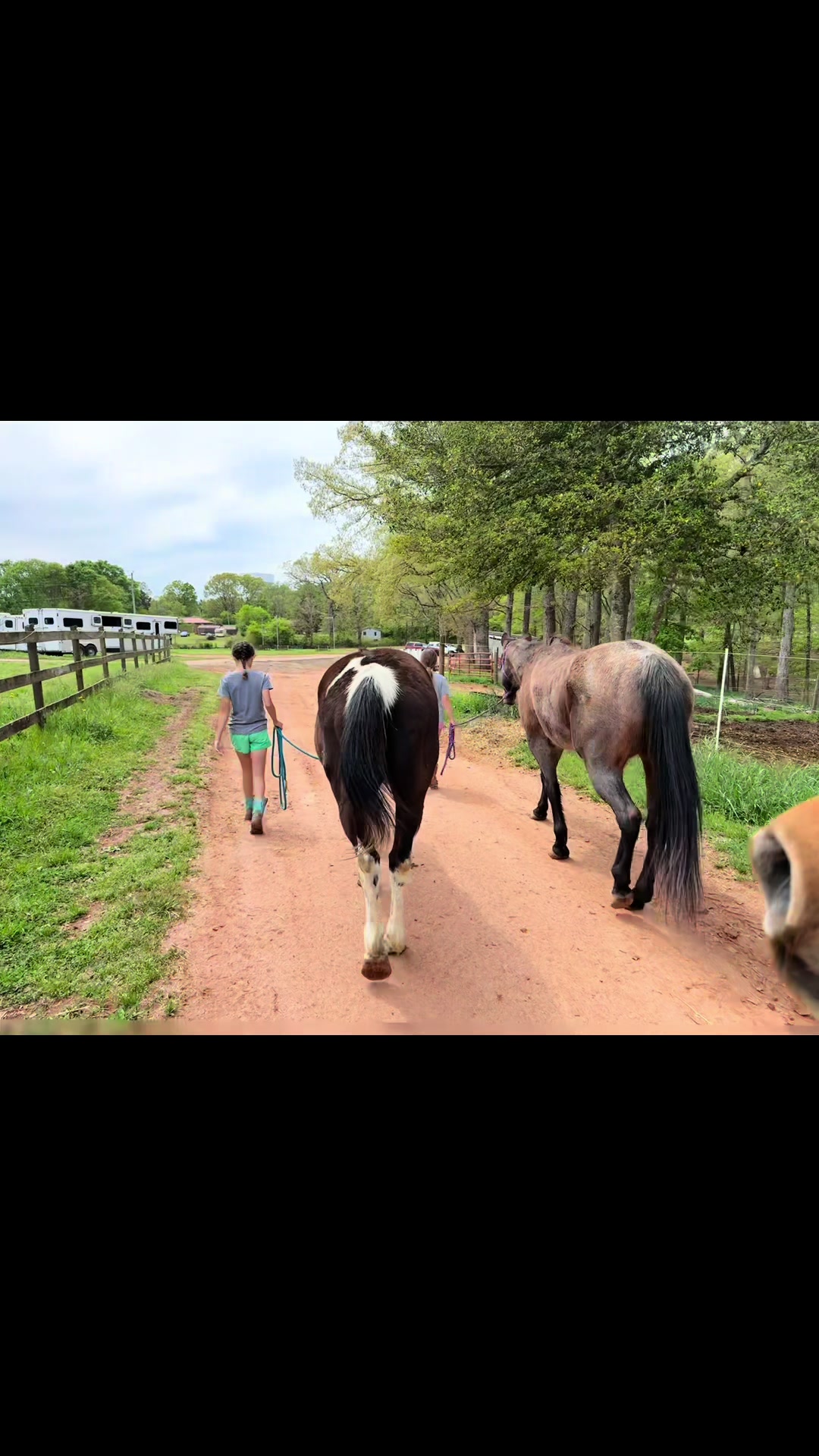@Janet..Fuzzy.farm.gang