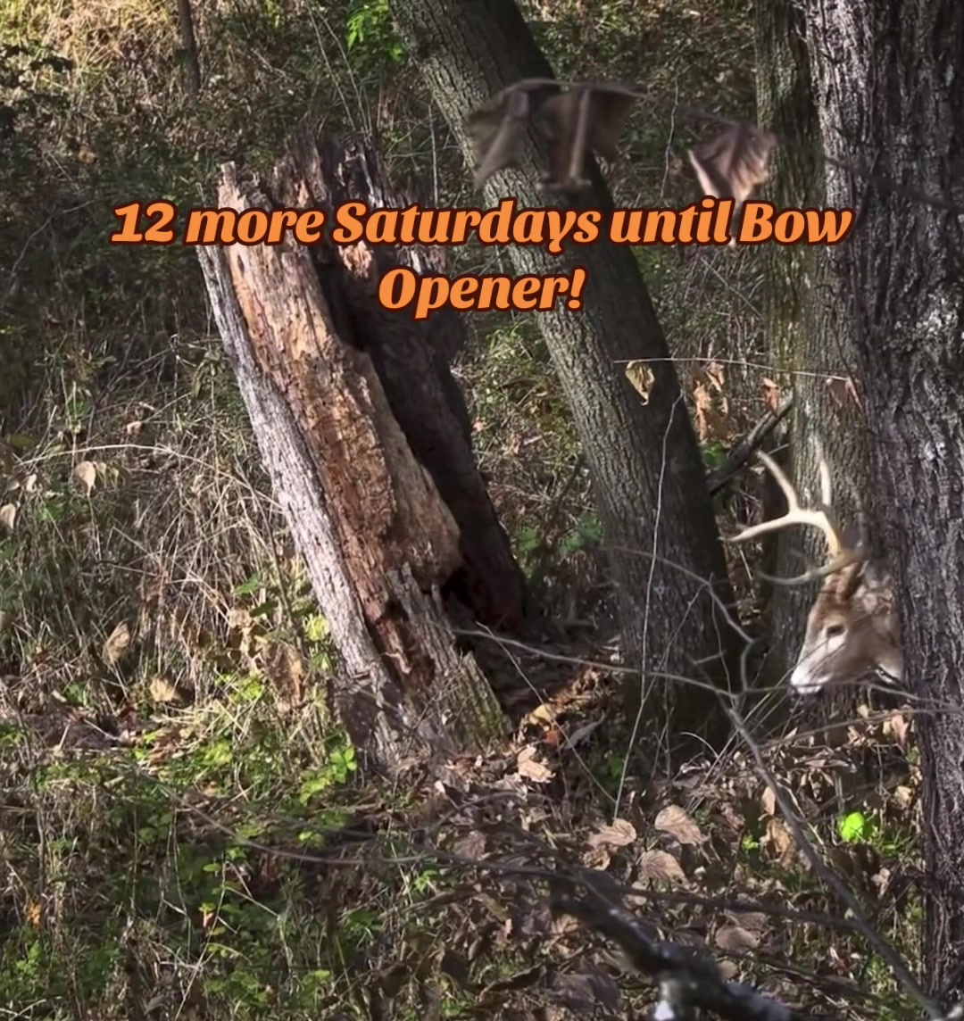 @🦌 Megabucks Outdoors 🦌