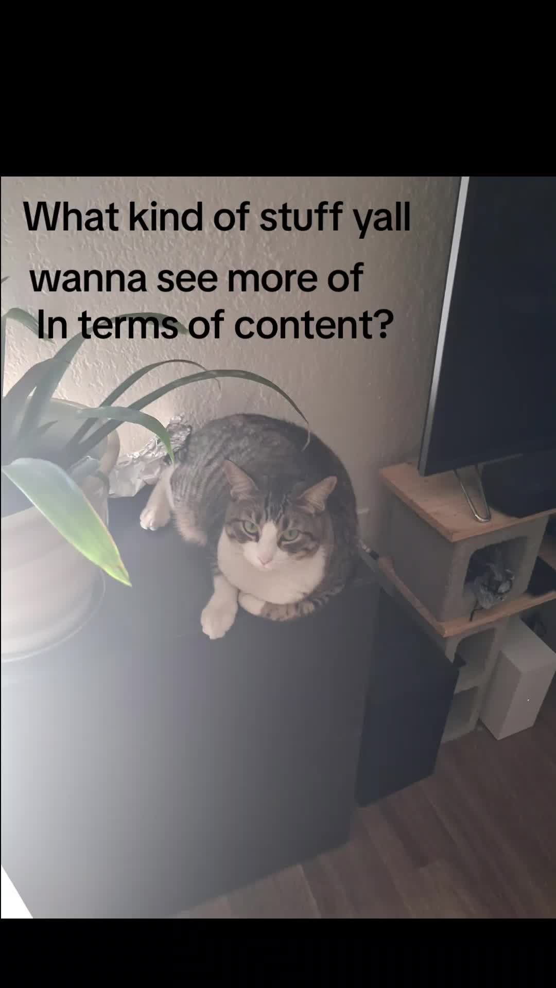 @ME_nothim