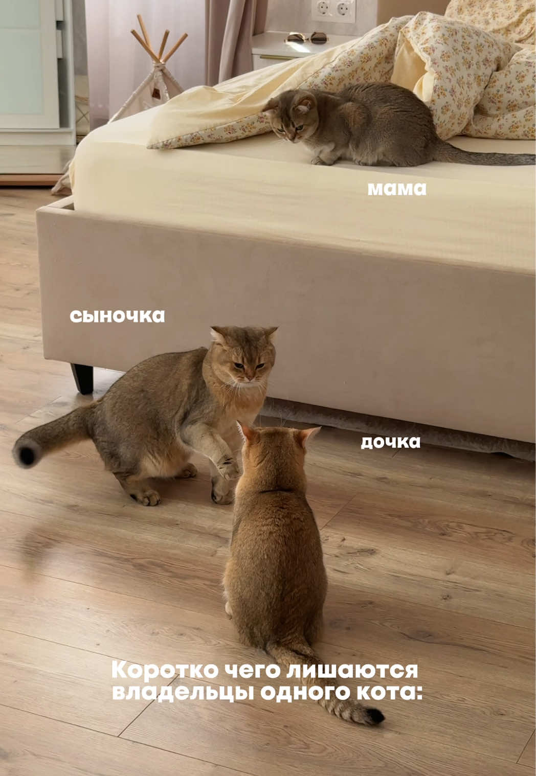 @Владочка