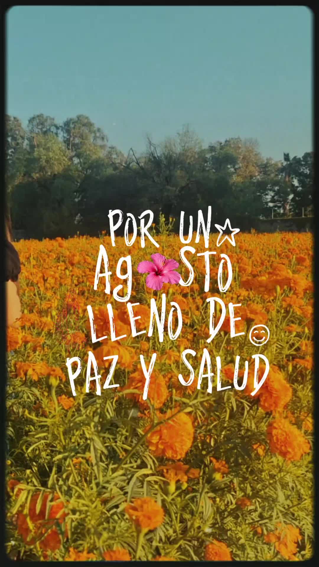 @Eliza Torres