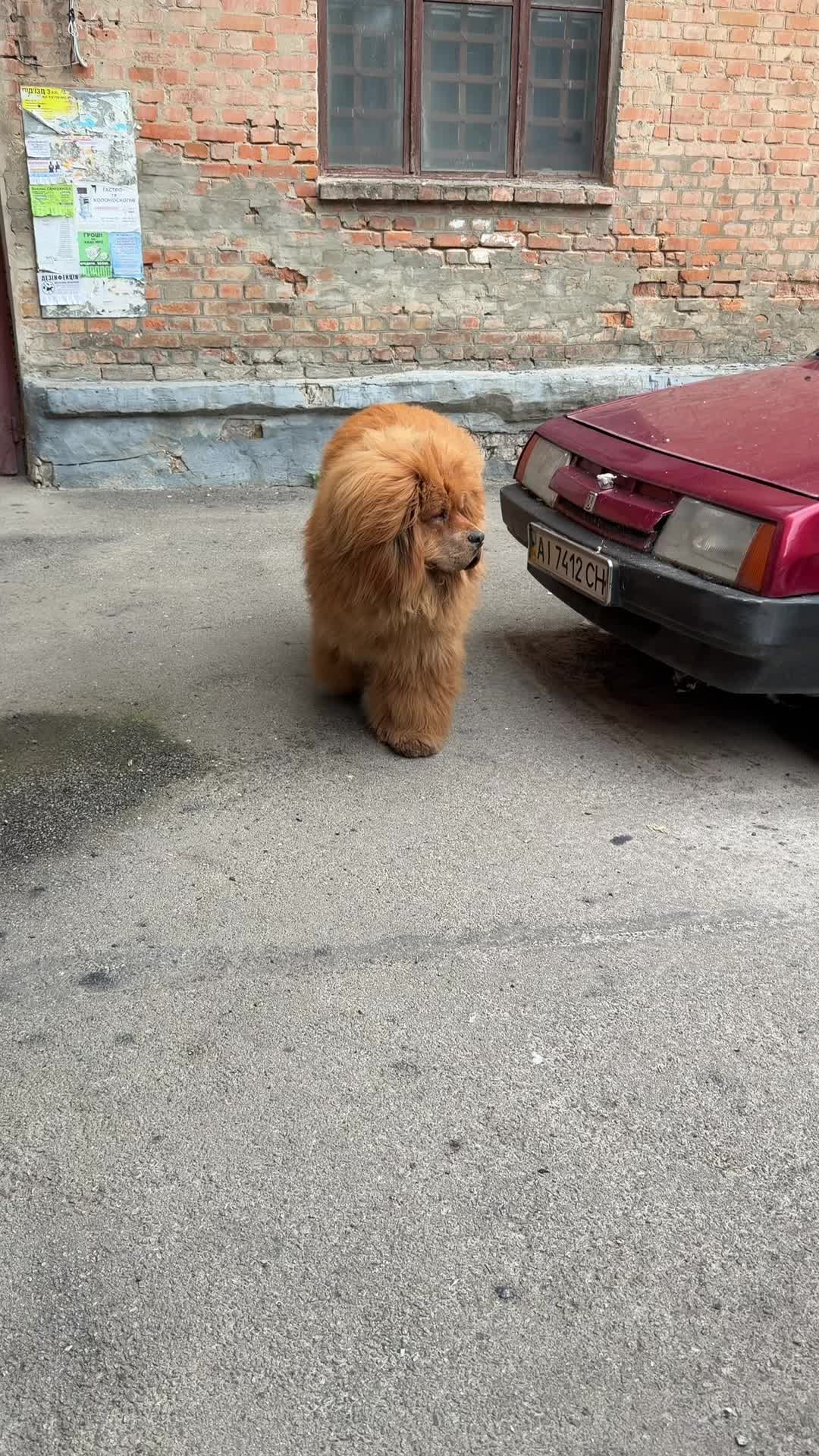 @Джампер 🦁 Jumper