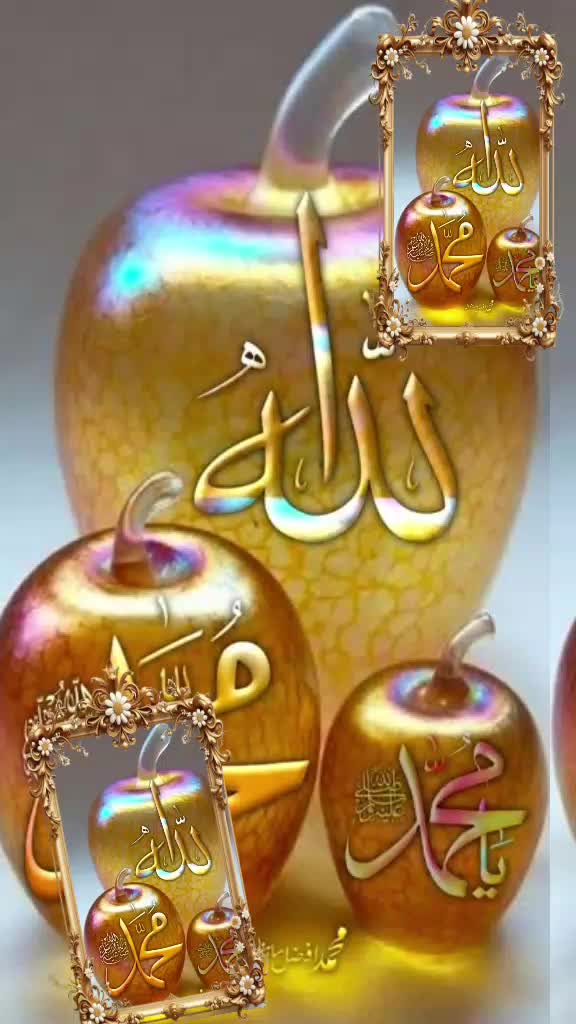 @Hina Malik