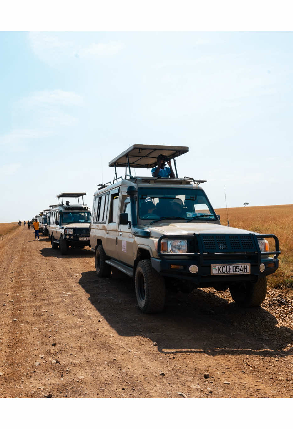 @Bountiful Safaris | Travel
