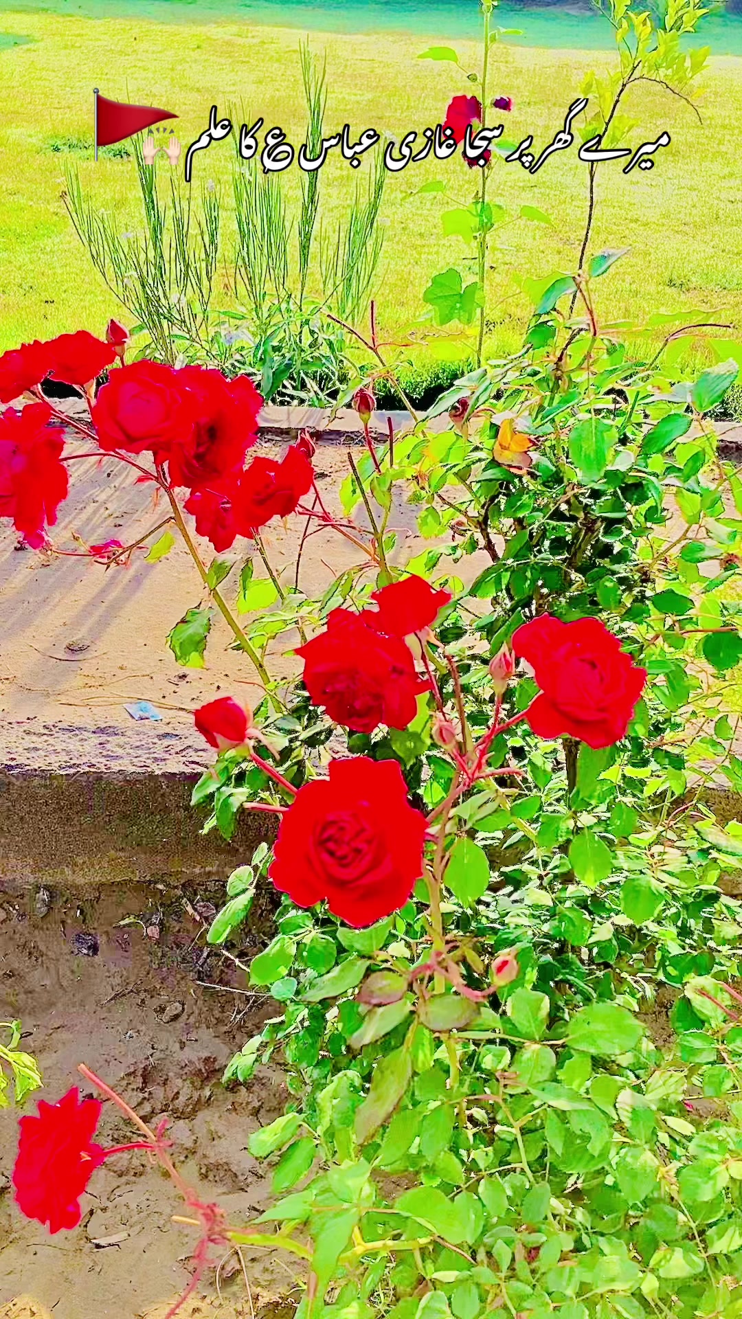 @عنایت اللّٰہ خان 512