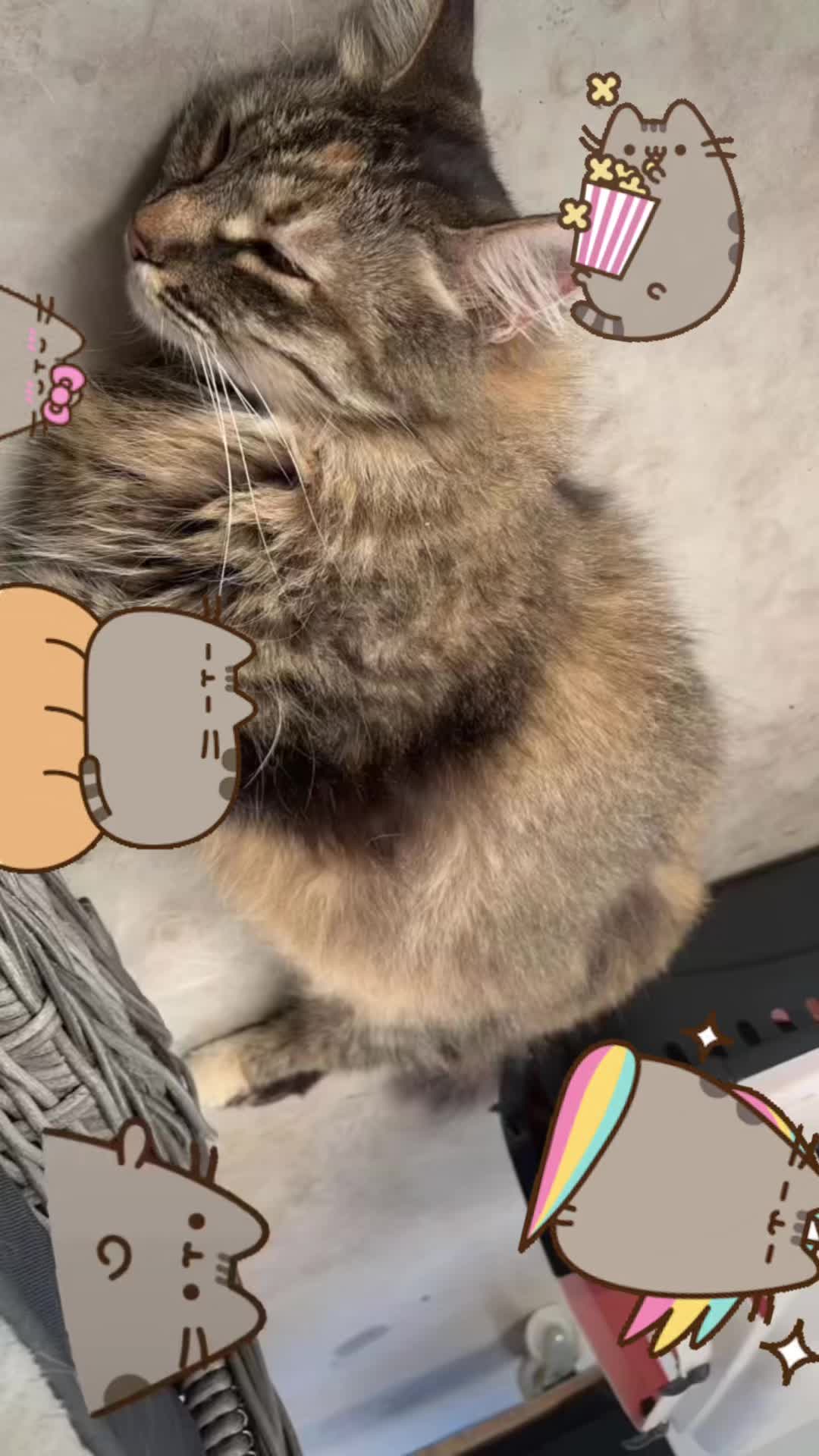 @конфетка🪽⋆𐙚˚౨ৎ☆🍥