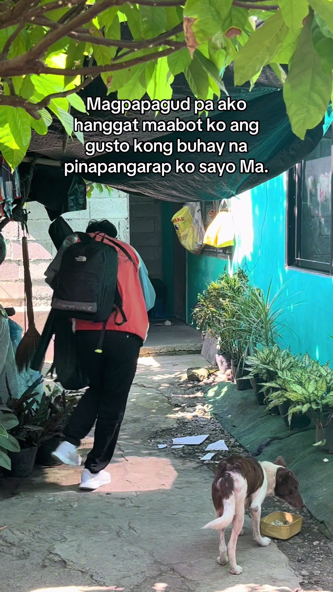 @Se-june
