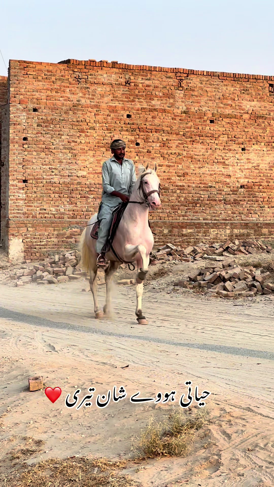 @SUNRISE STUD FARMS RAWALPINDI