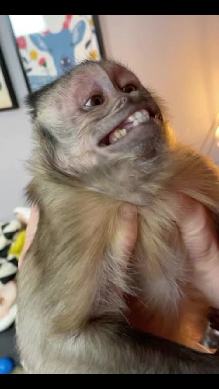 @ℙ𝕣𝕚𝕤𝕔𝕚𝕝𝕒🥰❤️🙉🙈🍌