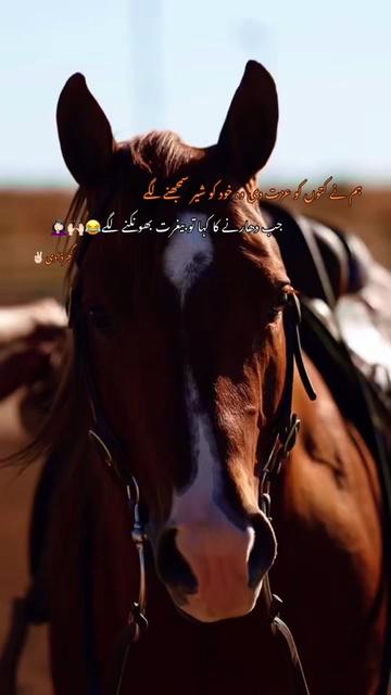 @گجرذادی✌🏻