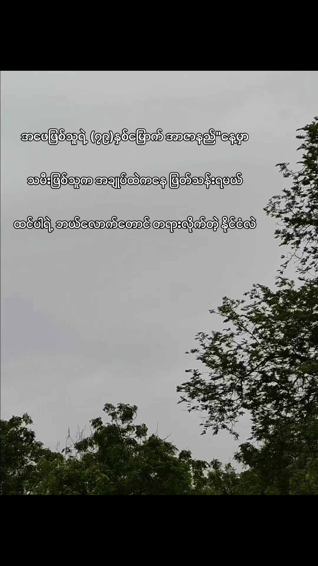 @Nyan Gyi