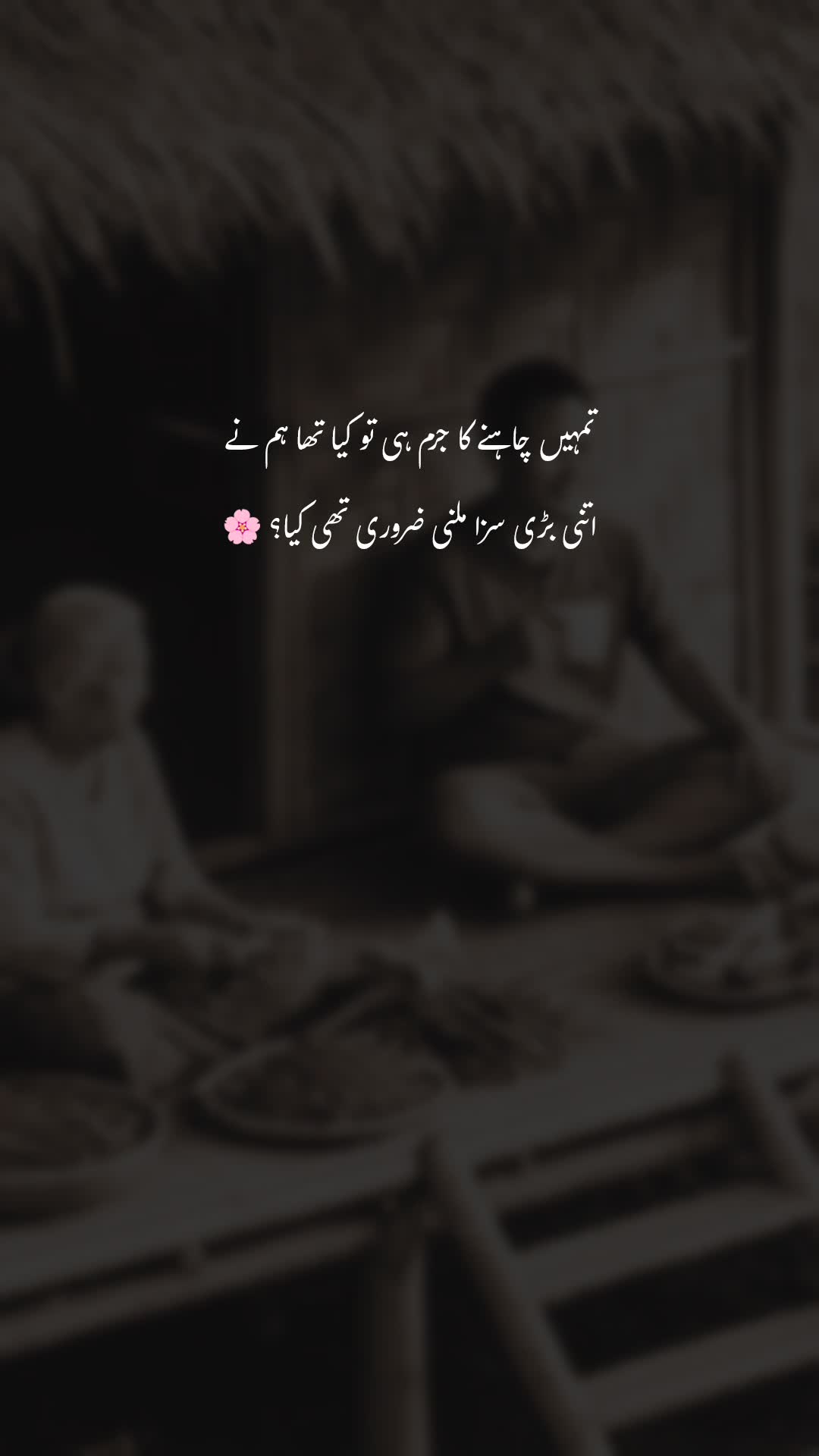 @sidra🌺