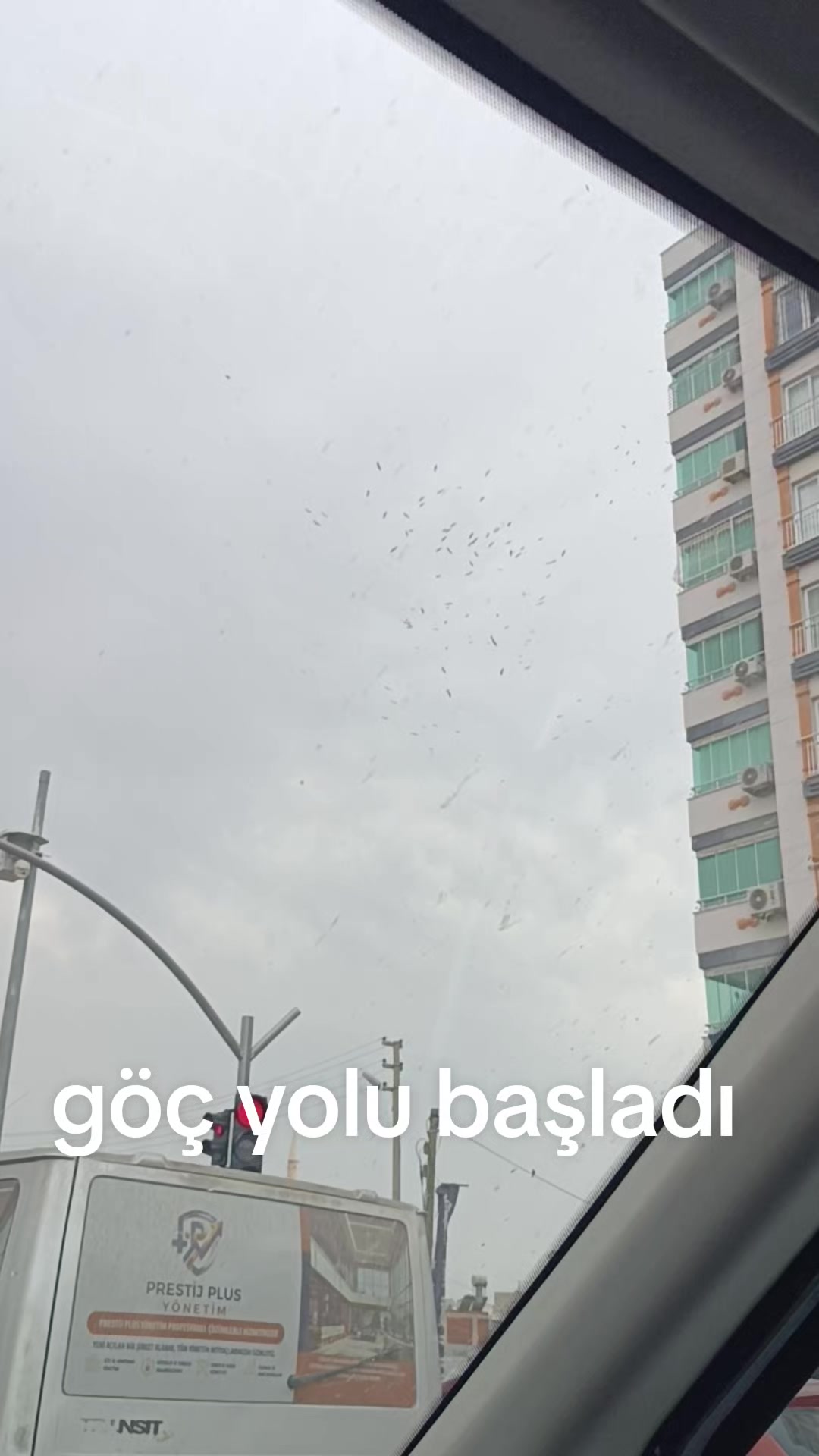@özgür BADIKANLI ❤️💚21