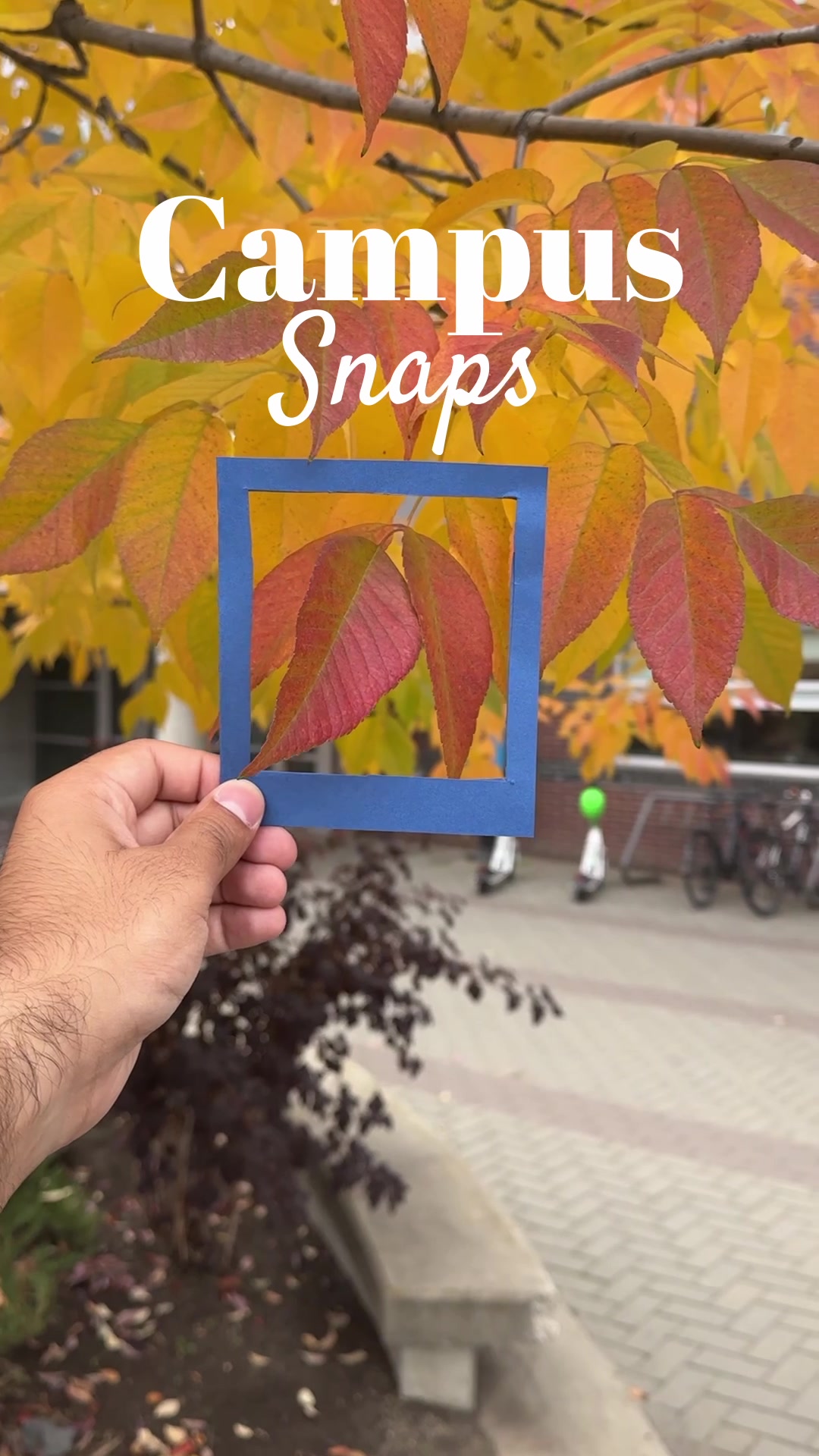 @UBC