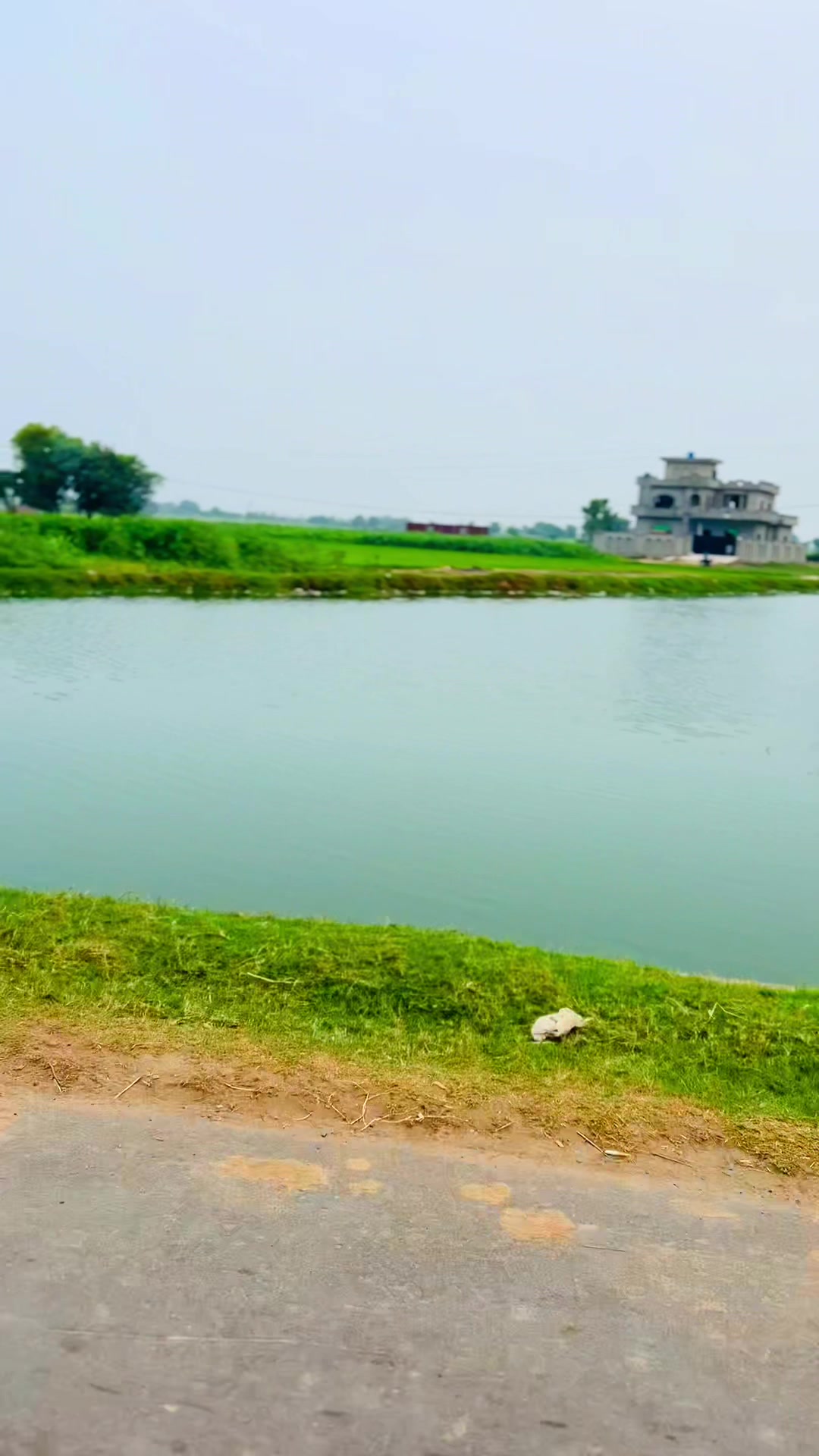 @SHAZiB_MEحAR