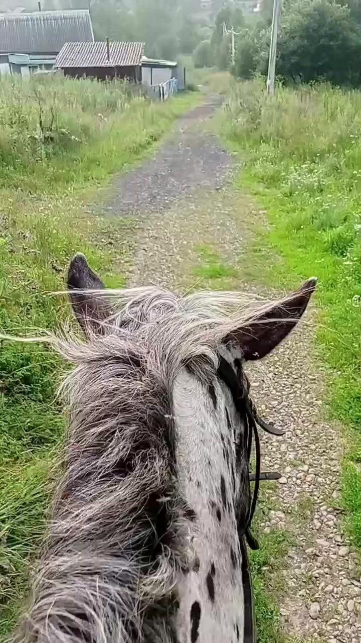 @Бурмакина Дарья