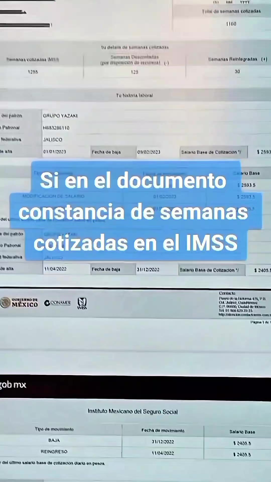 @CESAR SALDIVAR ASESOR