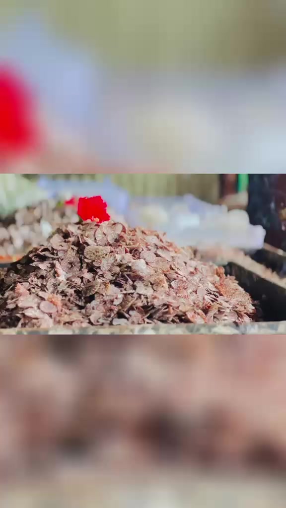 @𖤍𝙎𝙏𝙔𝙇𝙊_𝙇𝘼𝙑𝘼𝙉𝘿𝙊🦂✌