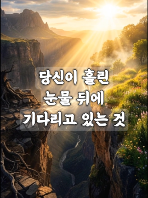@빛의 씨앗